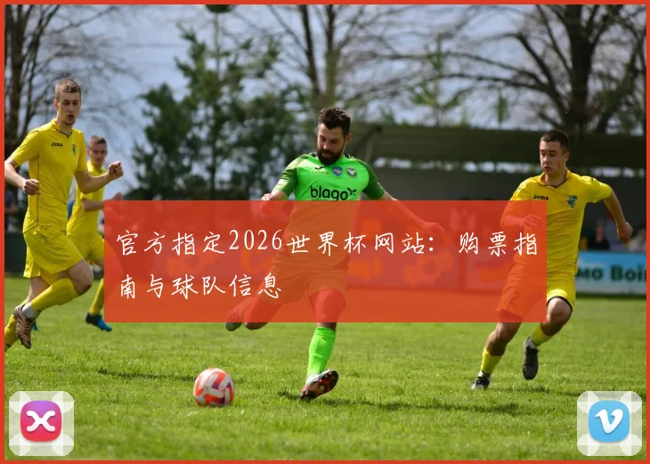 官方指定2026世界杯网站：购票指南与球队信息